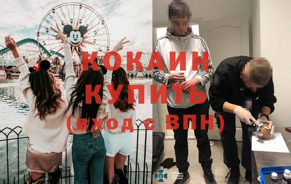 бошки Гусев