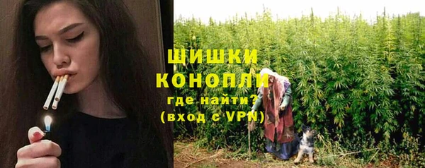 бошки Гусев