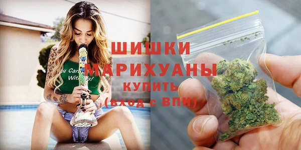 бошки Гусев