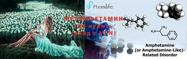 бошки Гусев